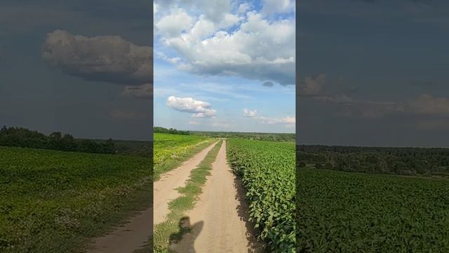 Сила Земли. Восходящий поток. Энергетические каналы. смотреть онлайн