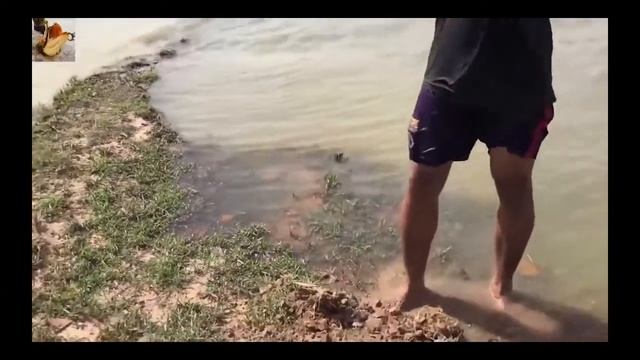 Выживание в лесу Способы добывания еды в дикой природе Часть 5 смотреть онлайн