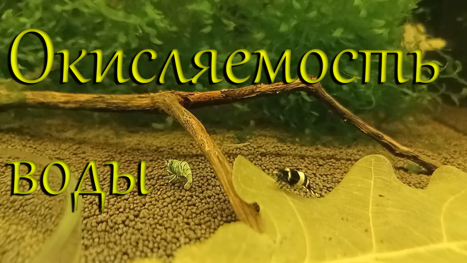 #Редокс-потенциал и #Аэрация, #ОВП, #перманганатная окисляемость воды: #как измерить, #померить. смотреть онлайн