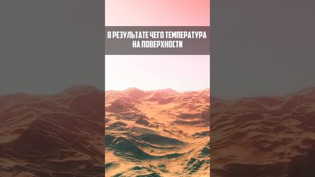 ВЕНЕРА смотреть онлайн