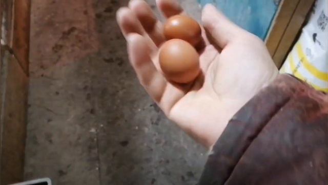 31 января 2024 г. смотреть онлайн