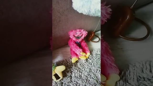 я не знаю кого выбрать смотреть онлайн