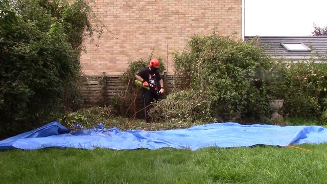 Brush Cutter Timelapse (Ryobi RBC1226I 1200W Electric) смотреть онлайн
