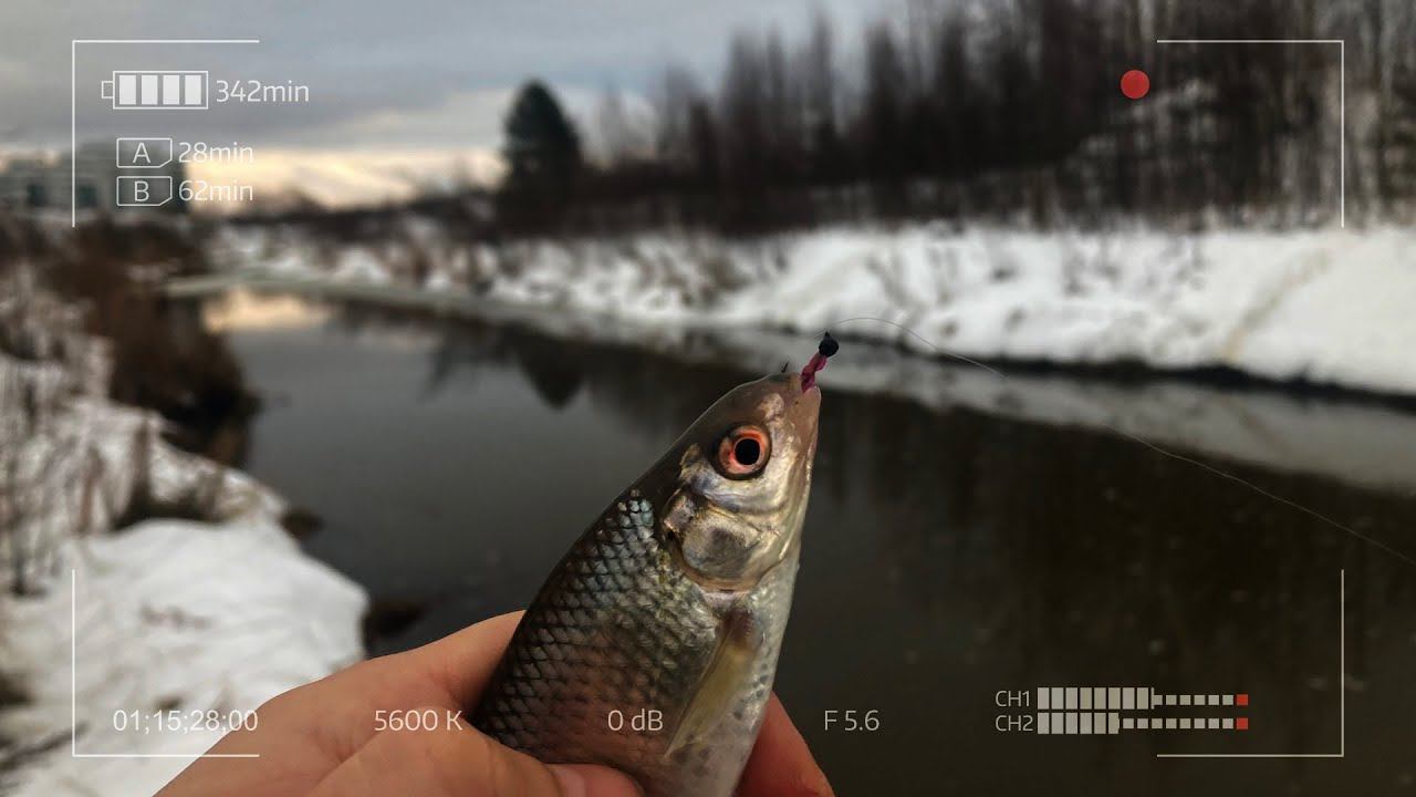 Вызывайте санитаров! Опять он ловит в этой канаве! смотреть онлайн