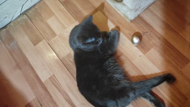 А мы спим где хотим и как хотим смотреть онлайн