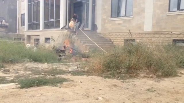 Что будет, если насыпать опилки в огонь? смотреть онлайн