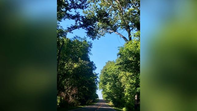 Практика "Твой Храм Тишины" смотреть онлайн