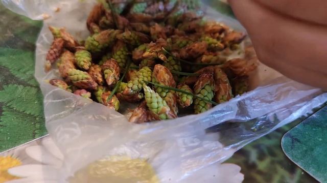 Варенье из сосны ( из сосновых почек) смотреть онлайн