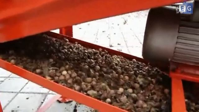 Машина для очистки фундука от плюски смотреть онлайн