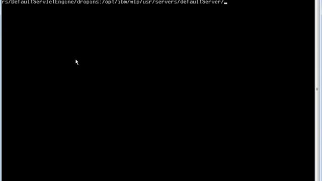 Deploying applications to the remote Liberty server running on a Boot2Docker container смотреть онлайн