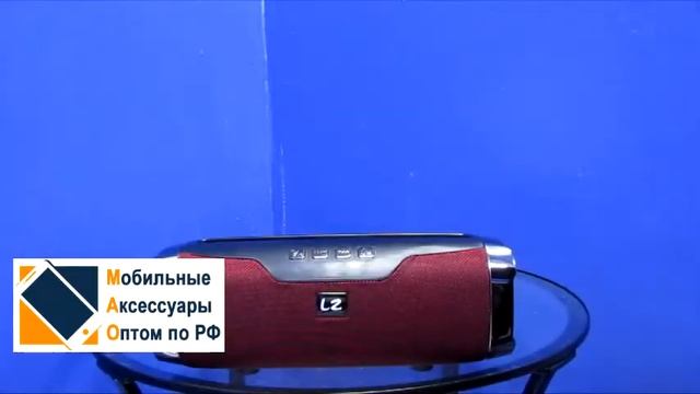 Колонка LZ-E22 оптом смотреть онлайн