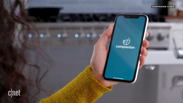 Automatic dog trainer seeks to create a better pet, faster смотреть онлайн