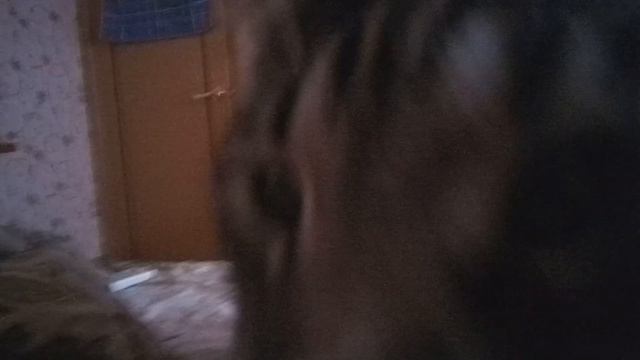 Котя хочет мяса. смотреть онлайн