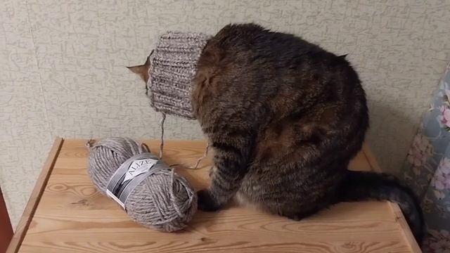 Мои будни.Я связала еще одну простую шапку спицами резинкой 2×2, с отворотом из Alize Superlana Max смотреть онлайн