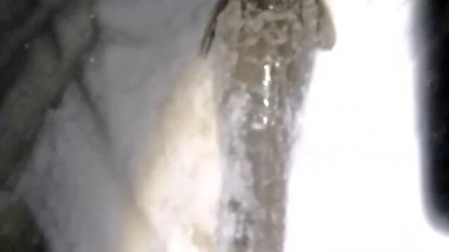 Проверка тычек поставушек на налима. Первые налимы. 07.11.2019 г. смотреть онлайн