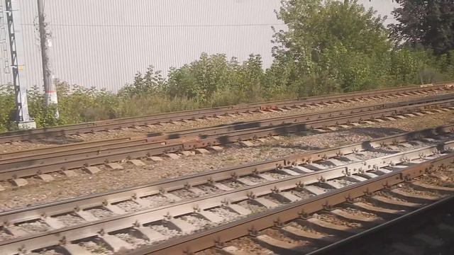 Поезд 534 Адлер-Москва ст. Домодедово.13 08 2021 DSCN5538 смотреть онлайн
