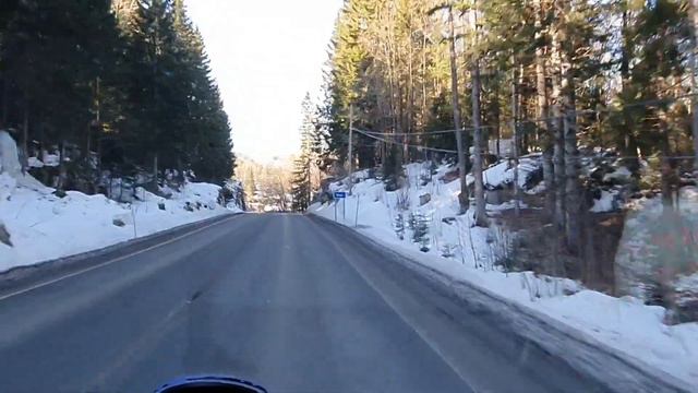 Рыжие орхидеи и куча всего. смотреть онлайн