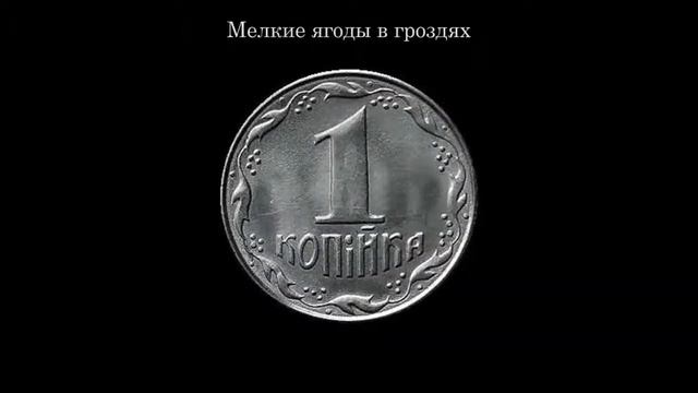 Дорогая копейка 1 копейка 1992 года смотреть онлайн