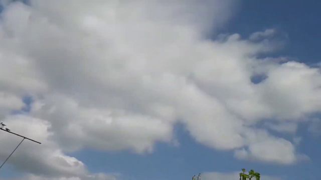 Полёт молодых николаевских голубей смотреть онлайн