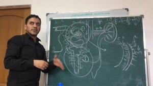 Патофизиология мочевыделительной системы. Часть 1.