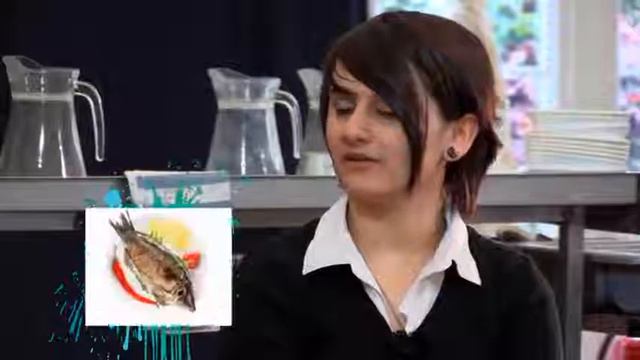 Food - What we eat - What do you have for lunch? смотреть онлайн