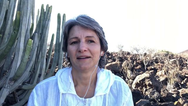 Мой отзыв на курс "Просветление" Александра Меньшикова смотреть онлайн