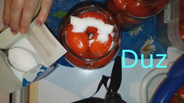 POMİDOR TURŞUSU (СОЛЁНЫЕ ПОМИДОРЫ).