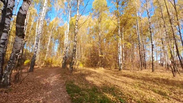 Золотая осень в Йошкар-Ола октябрь 2023 смотреть онлайн