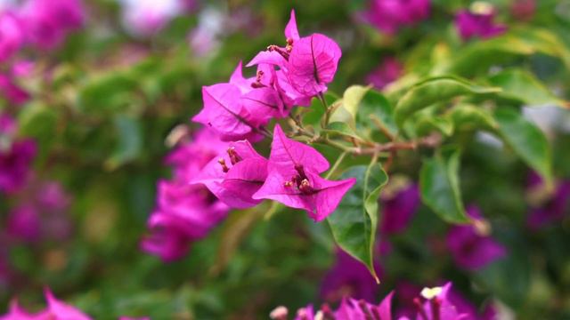 Тафсир суры Аль Фатиха 02 смотреть онлайн