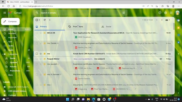 Gorilla: IT companies interviews questions смотреть онлайн