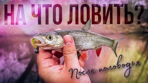 НА ЧТО ЛОВИТЬ ГОЛАВЛЯ? / рыбалка после половодья