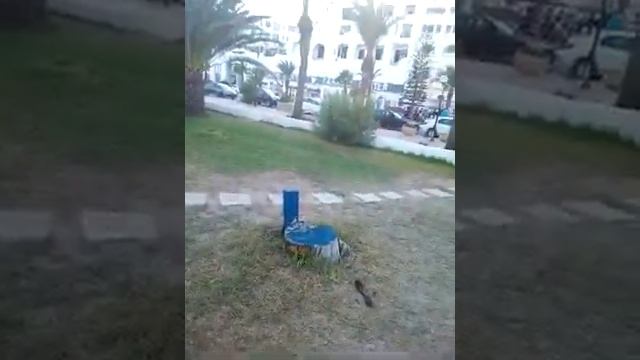 Море, Тунис, Ясмин Хаммамет, Yasmin Hammamet смотреть онлайн