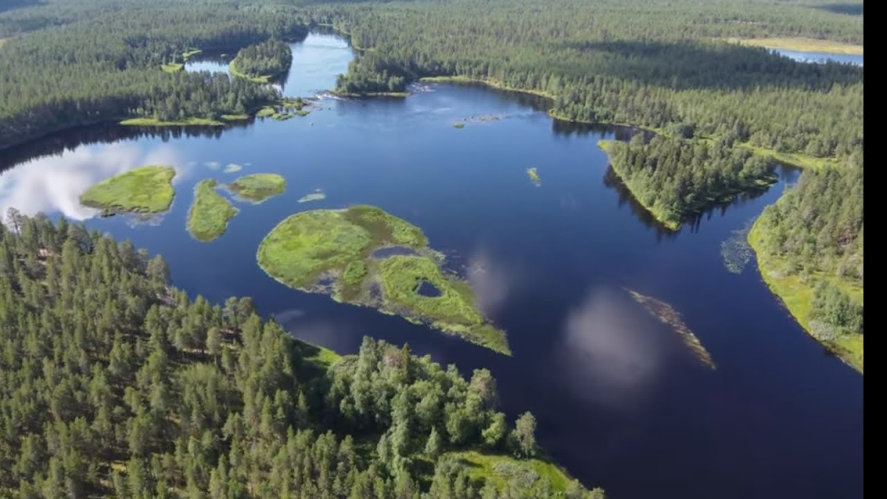 РЫБАЛКА НА СПИННИНГ НА БЫСТРОЙ РЕКЕ / ПОЛЕТ НАД РЕКОЙ НА ДРОНЕ dji mini 2 смотреть онлайн