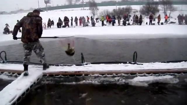 Зимня рыбалка. г.Видное, Тарычевский пруд смотреть онлайн