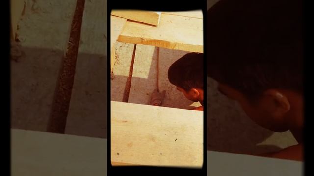 Человек СТЕКЛОВАТ!!! смотреть онлайн