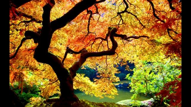 6 Океанов - Я Красивых Таких Не Видел... смотреть онлайн