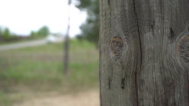 Aesthetics of decadence. Эстетика упадка / Sony A6300 Video Test смотреть онлайн