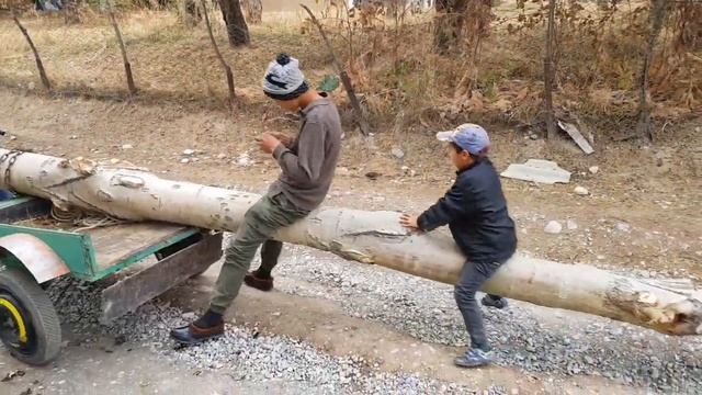 Мотоблок менен жумуш(3) смотреть онлайн