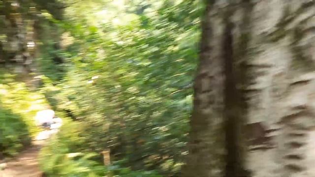 Заброшенные города Абхазии. Три водопада смотреть онлайн