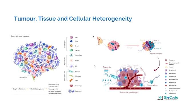 Bulk RNA-Seq Vs Single-Cell RNA-Seq | BioCode: Learn Bioinformatics смотреть онлайн