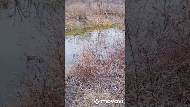 два объединенных видео смотреть онлайн
