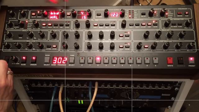 Sequential Prophet-6 Module смотреть онлайн