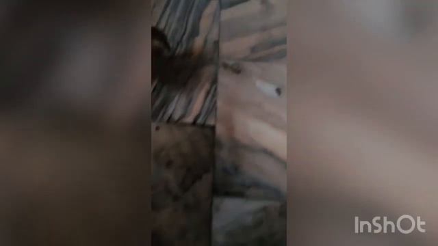 Видео отзыв по шлифмашине es420s для мраморного пола. Делаем блестящие мраморные полы, освежаем смотреть онлайн