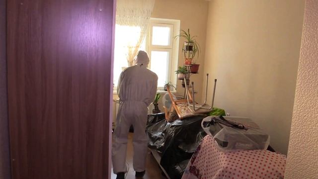 У тараканов нет шансов смотреть онлайн