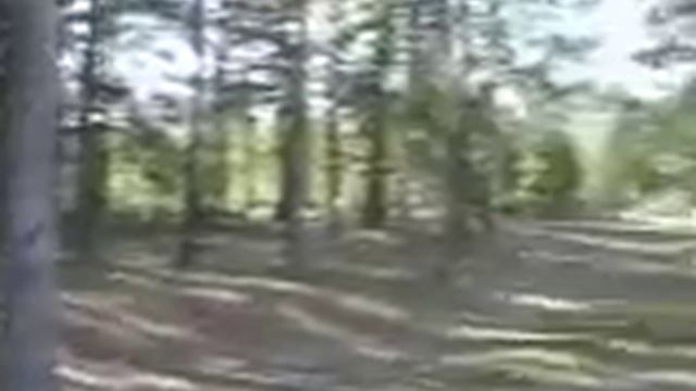 Окунево.река Тара смотреть онлайн
