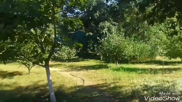 База отдыха на Дону смотреть онлайн