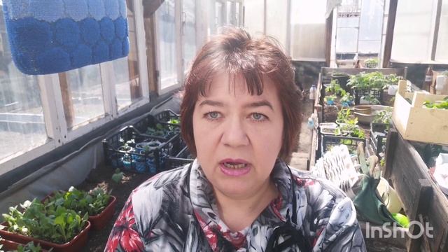 Почему стоит вес ?!Ролик-предупреждение о большой ошибке в начале похудения.Мой сад-огород на 12.05 смотреть онлайн