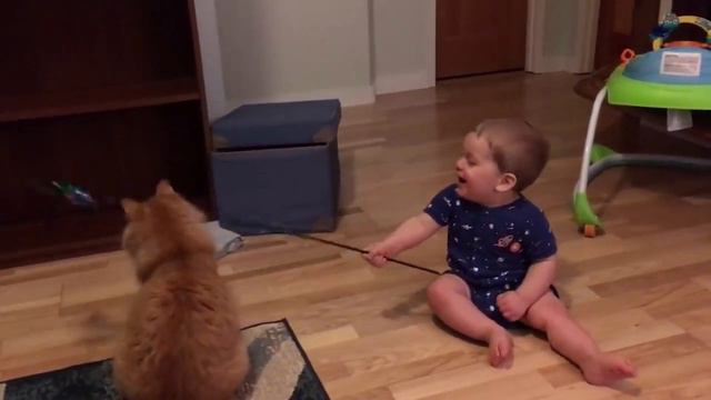 Очень милые и счастливые малыши играют с веселыми домашними животными! Дети, коты и собаки веселятс смотреть онлайн
