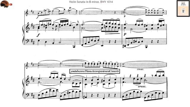 Bach - Violín Sonata no. 1, 1st Movement | Harpsichord Accompaniment смотреть онлайн