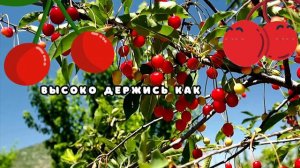 Поздравление с ЮБИЛЕЕМ ,45 лет женщине